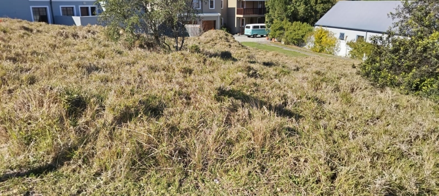 Commercial Property for Sale in Green Pastures Western Cape